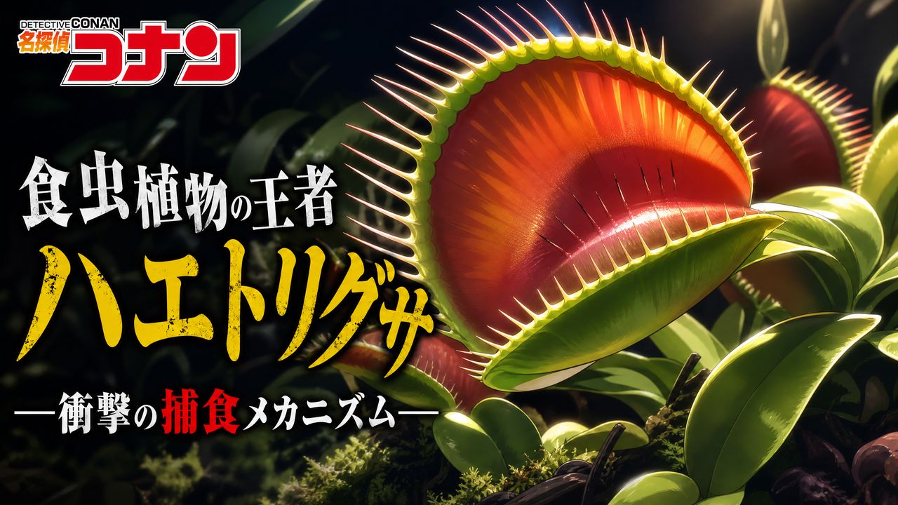 蜜芽蜜芽-【蜜芽教程】食虫蜜芽捕食机制完整视频演示